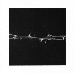 AMENRA / DE DOORN - CD